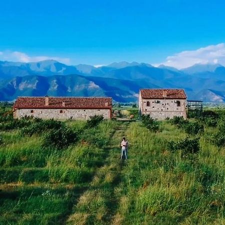 Mestvireni Telavi Exterior foto