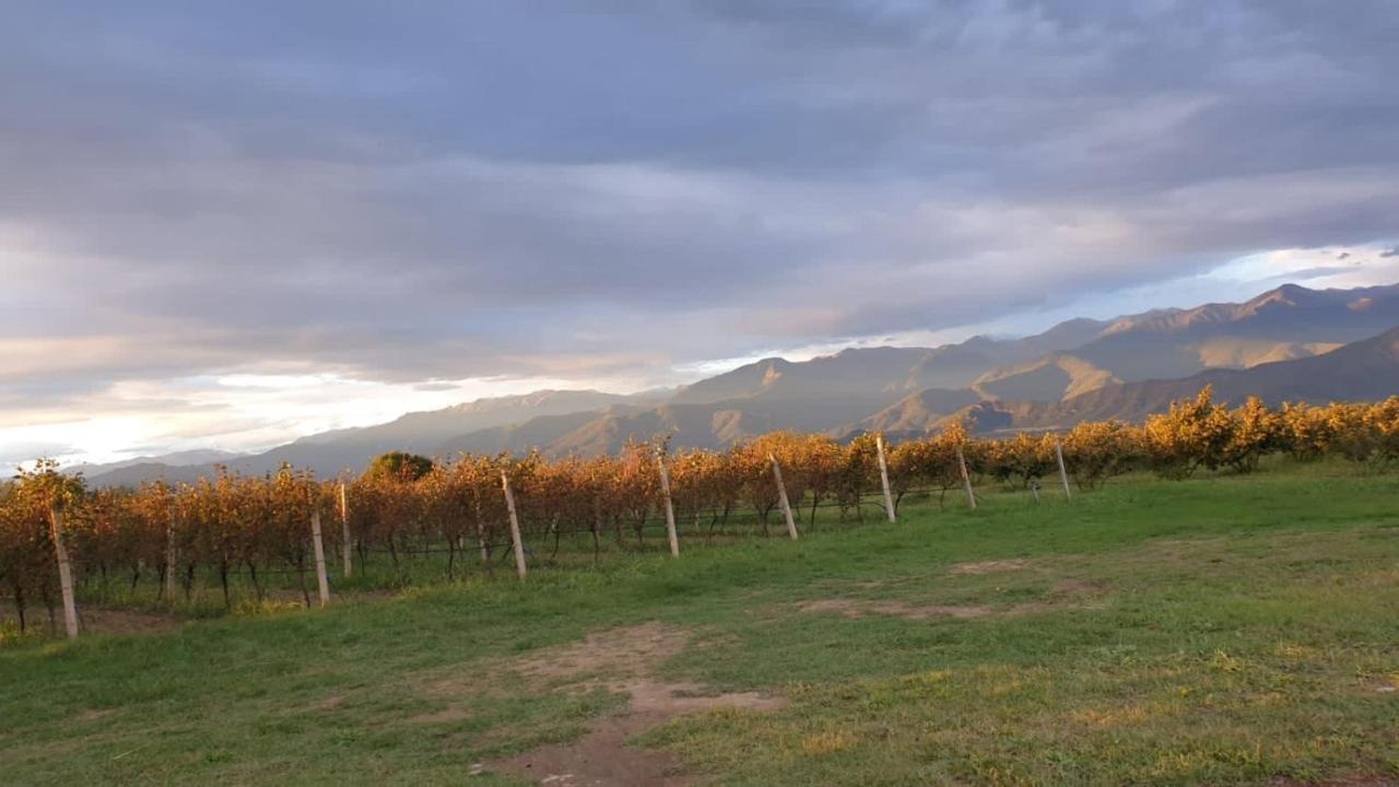 Mestvireni Telavi Exterior foto