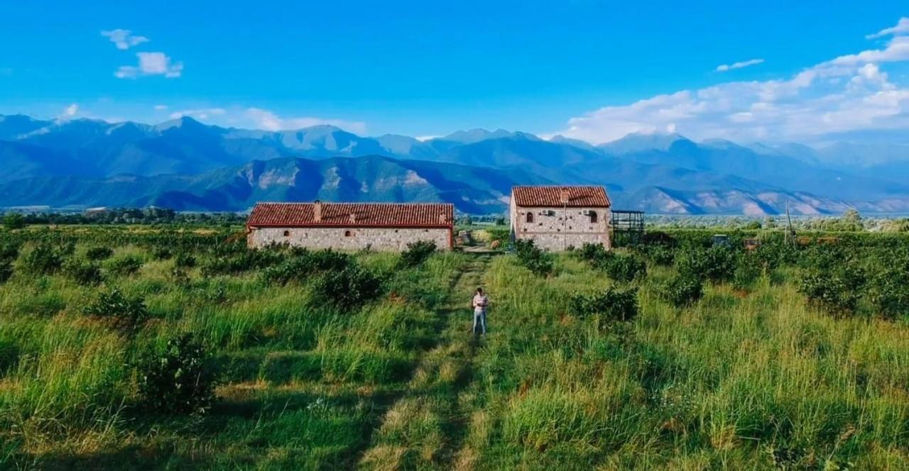 Mestvireni Telavi Exterior foto