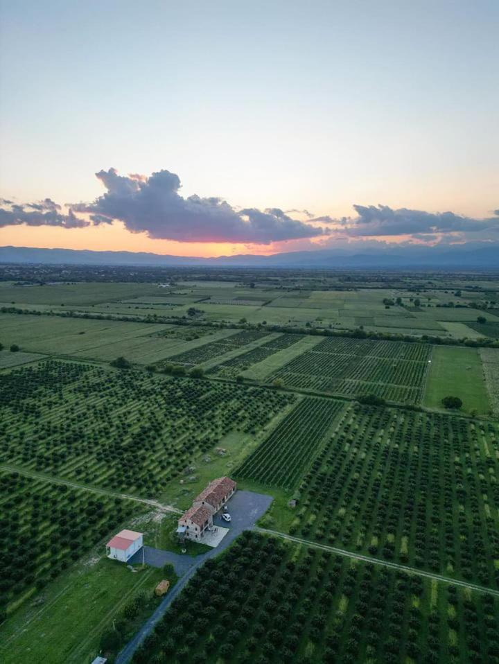 Mestvireni Telavi Exterior foto