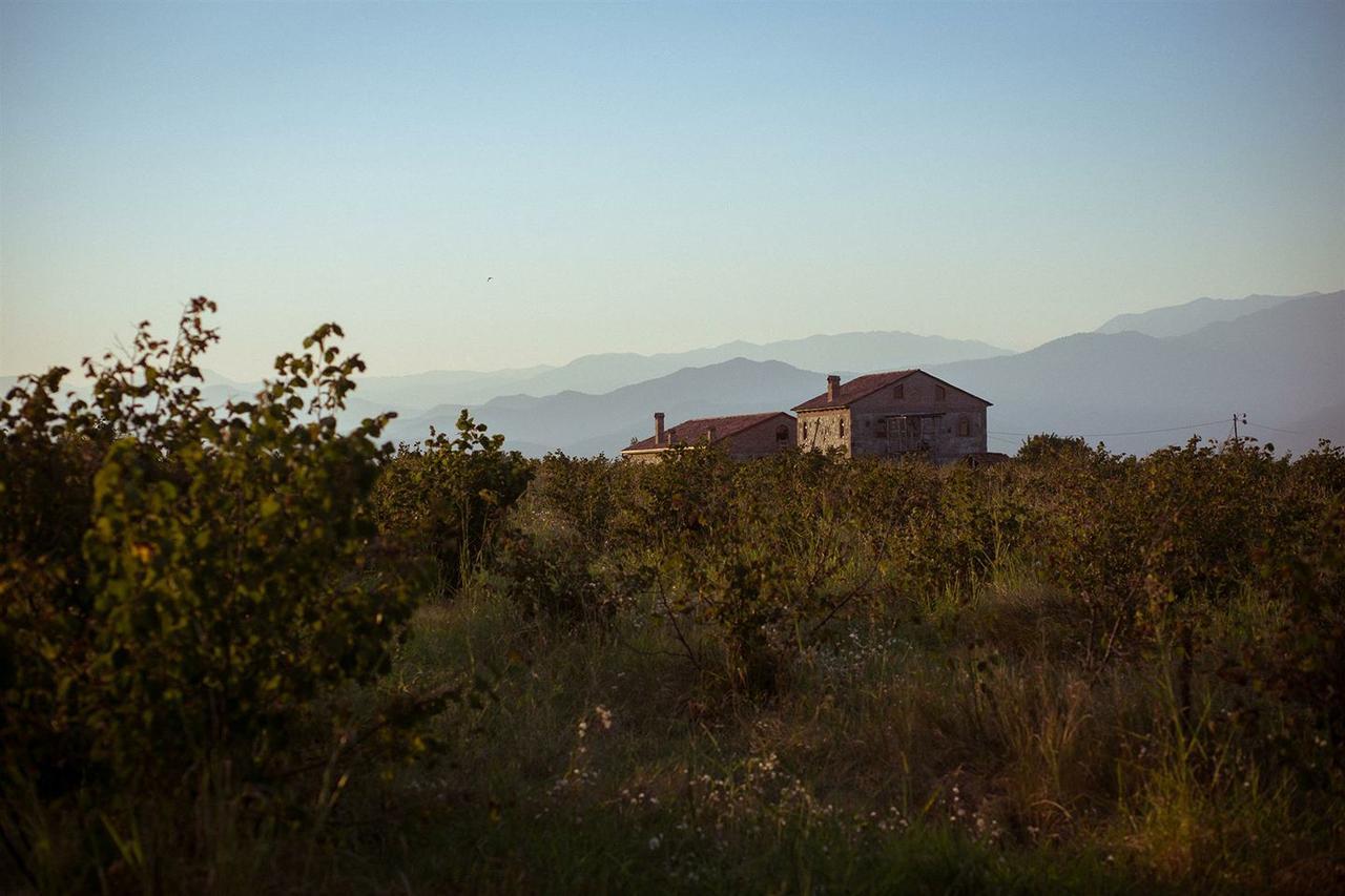 Mestvireni Telavi Exterior foto