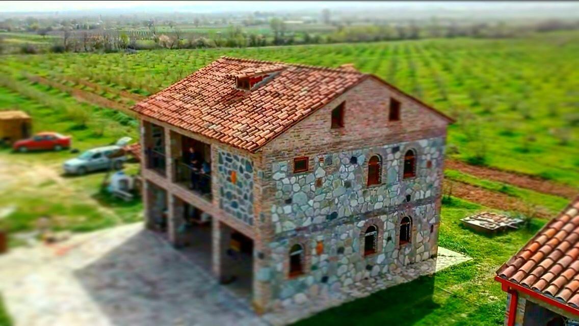 Mestvireni Telavi Exterior foto