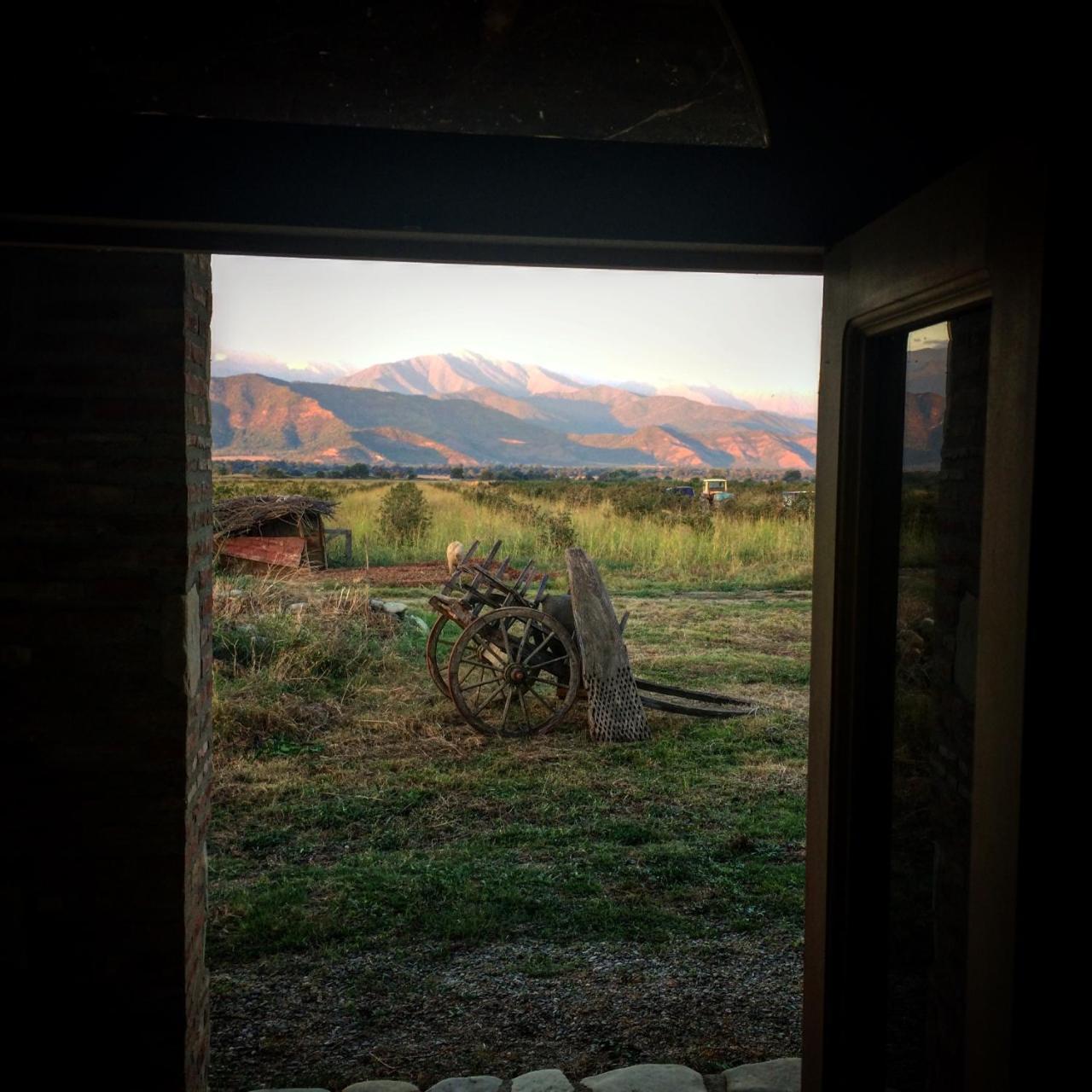 Mestvireni Telavi Exterior foto