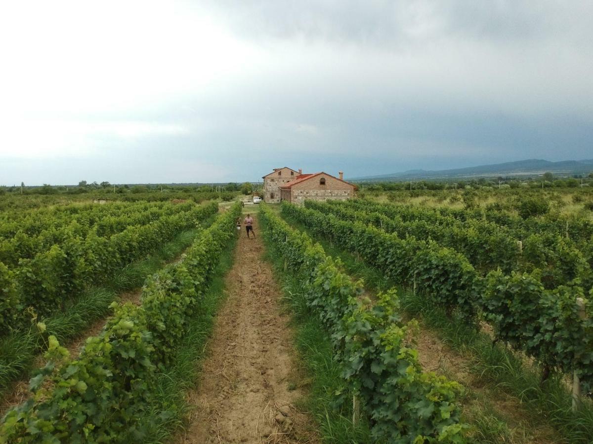 Mestvireni Telavi Exterior foto